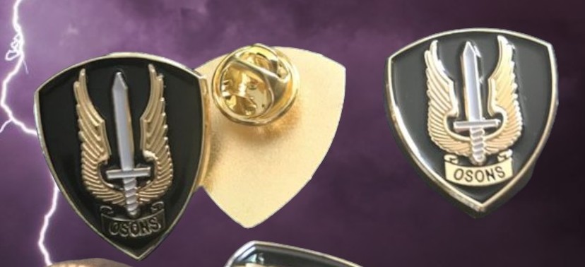 PINS AND SSF COIN - Copy.jpg